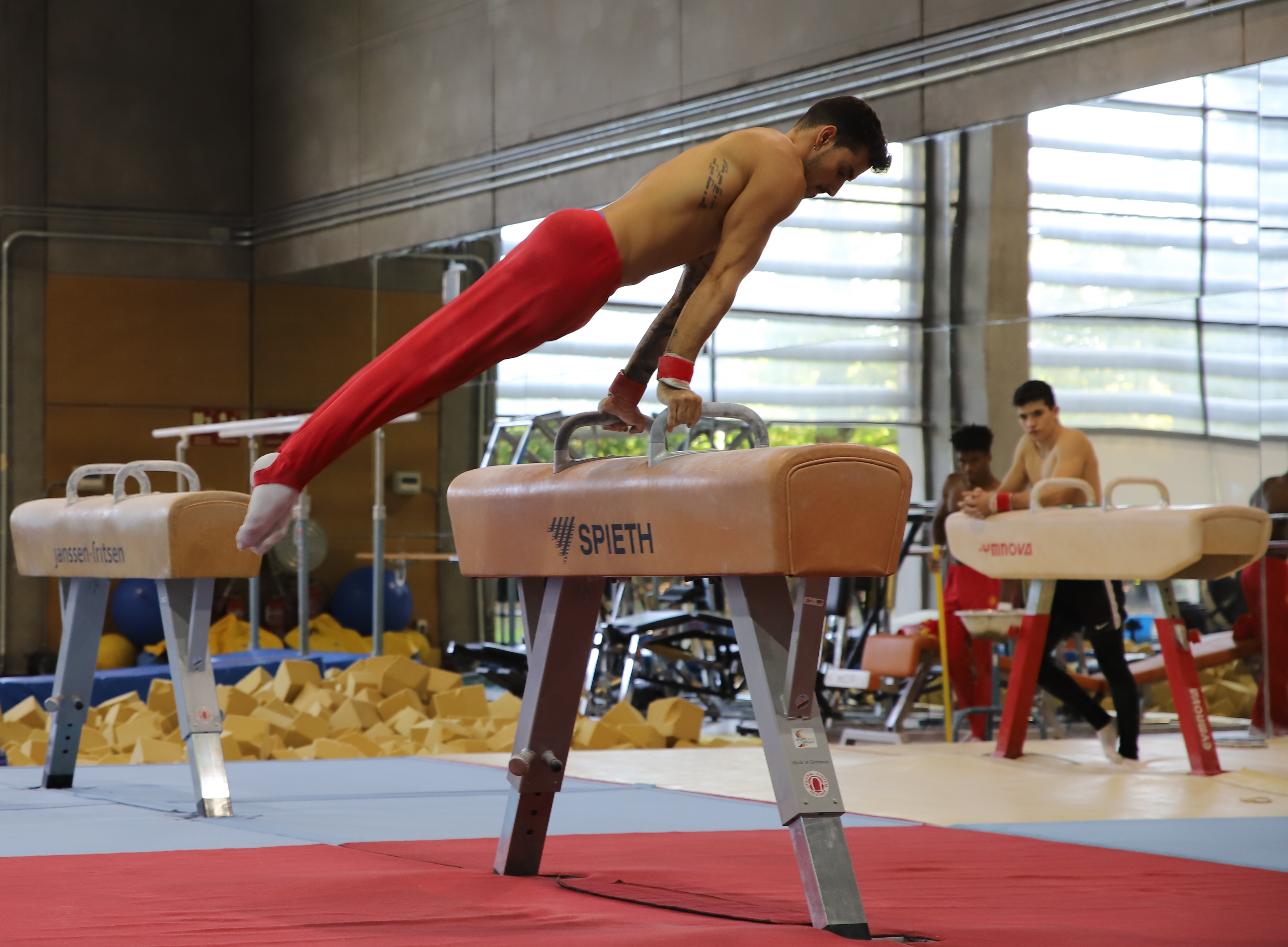 Mauris sollicitudin nisi convallis